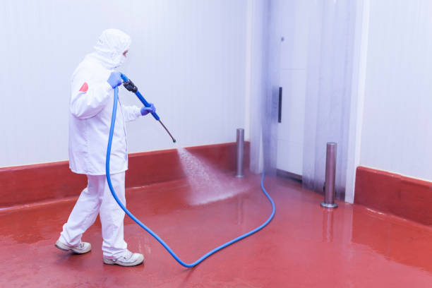Best House Exterior Washing  in Barnesville, GA